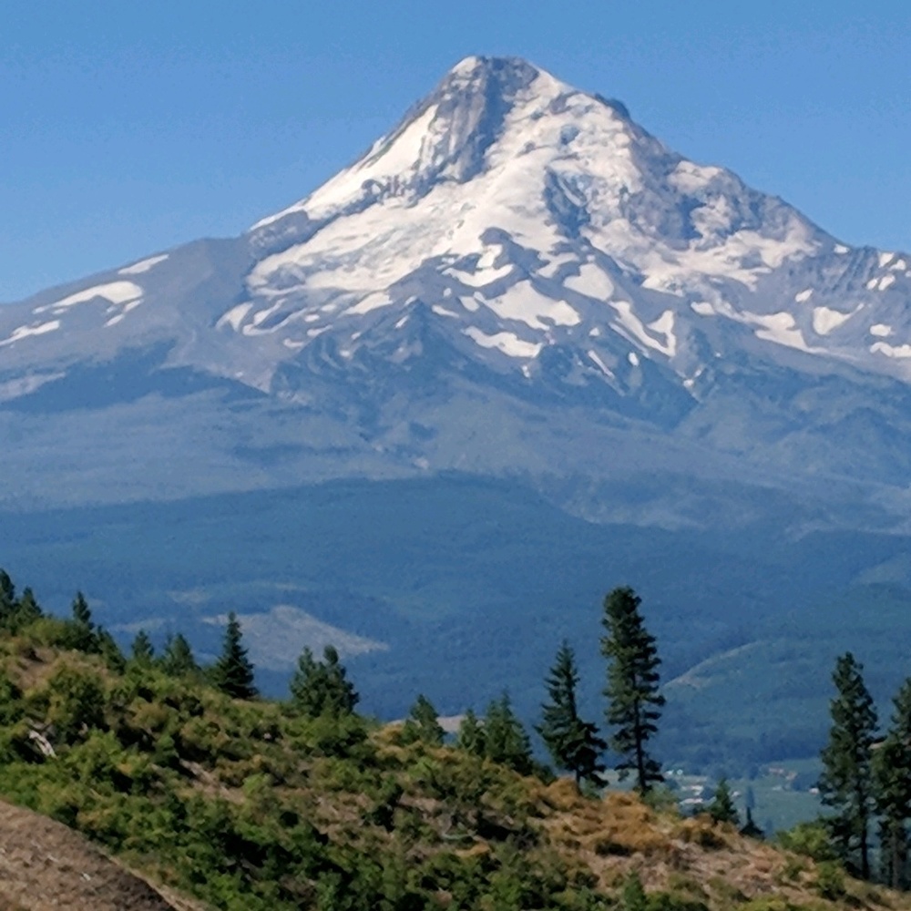 Meet your Posher, Bonnie